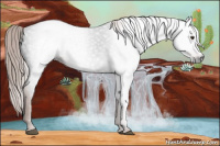 Horse Color:Gray Liver Chestnut Rabicano 