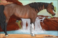 Horse Color:Bay Rabicano