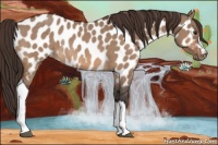 Horse Color:Bay Dun Appaloosa Rabicano 