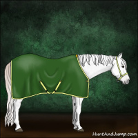 Horse Color:Gray Silver Bay Tobiano Rabicano 