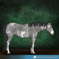 Horse Color:Smoky Black Ice Sabino 