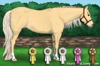 Horse Color:Palomino