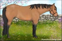 Horse Color:Bay Roan 