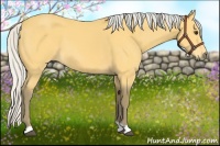 Horse Color:Silver Buckskin 