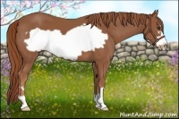 Horse Color:Chestnut Frame 