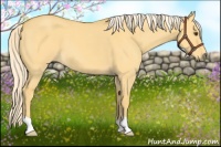 Horse Color:Palomino Dun