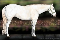 Horse Color:Buckskin Pearl Dun Sabino Varnish