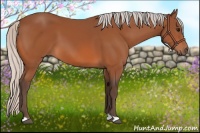 Horse Color:Silver Bay 
