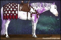 Horse Color:Watercolor Bay Sabino 