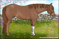 Horse Color:Red Roan 