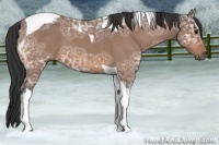 Horse Color:Bay Ice Roan Tobiano