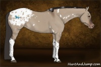 Horse Color:White Spotted Liver Red Dun Tobiano Blanket 
