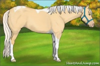 Horse Color:Silver Amber Cream Champagne Dun Tobiano 