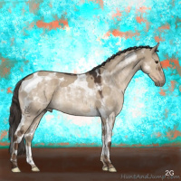 Horse Color:Liver Red Dun Roan Tobiano 