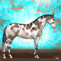 Horse Color:Brown Dun Splash Tobiano 