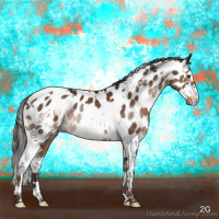 Horse Color:Liver Chestnut Splash Tobiano Appaloosa 