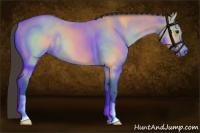 Horse Color:Buckskin Roan 