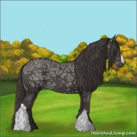 Horse Color:Smoky Black Ice 