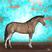 Horse Color:White Spotted Liver Red Dun Sabino Rabicano Brindle 