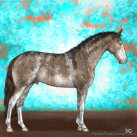 Horse Color:White Spotted Liver Red Dun Brindle 