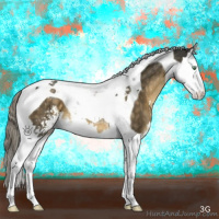 Horse Color:Chocolate Palomino Mushroom Sabino Splash Tobiano 