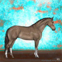 Horse Color:White Spotted Liver Red Dun Brindle 