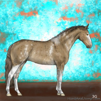 Horse Color:White Spotted Chocolate Palomino Dun Sabino Rabicano Brindle 