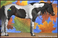 Horse Color:Liver Chestnut Tobiano 