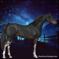 Horse Color:Gray Liver Chestnut  and Gray Liver Chestnut 