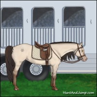 Horse Color:Amber Champagne Dun 