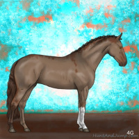 Horse Color:Liver Red Dun 