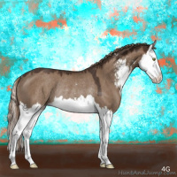Horse Color:Liver Red Dun Sabino Splash Rabicano