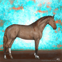 Horse Color:Liver Red Dun Brindle 