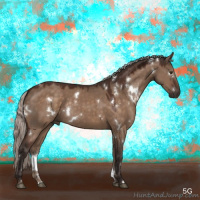Horse Color:White Spotted Silver Brown Dun Rabicano