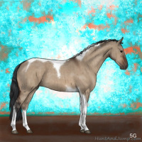 Horse Color:Bay Dun Tobiano Brindle 