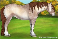 Horse Color:Red Onyx Ice Rabicano 
