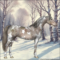Horse Color:White Spotted Liver Chestnut Ice Mushroom 