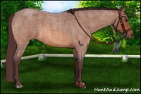 Horse Color:Chocolate Bay Roan