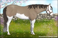 Horse Color:Classic Champagne Splash 