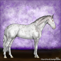 Horse Color:White Spotted Chocolate Silver Grullo Chinchilla Ice Blanket Rabicano Brindle 
