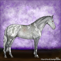 Horse Color:White Spotted Silver Grullo Chinchilla Appaloosa Rabicano 