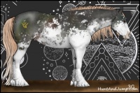 Horse Color:Liver Chestnut Sabino Rabicano