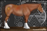 Horse Color:Bay Sabino