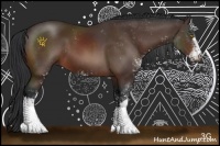 Horse Color:Bay Sabino