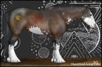 Horse Color:Brown Sabino