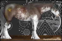 Horse Color:Brown Sabino Rabicano