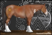 Horse Color:Bay Sabino 