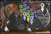 Horse Color:Bay Sabino and Liver Chestnut Sabino