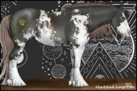 Horse Color:Liver Chestnut Sabino