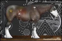 Horse Color:Brown Sabino 